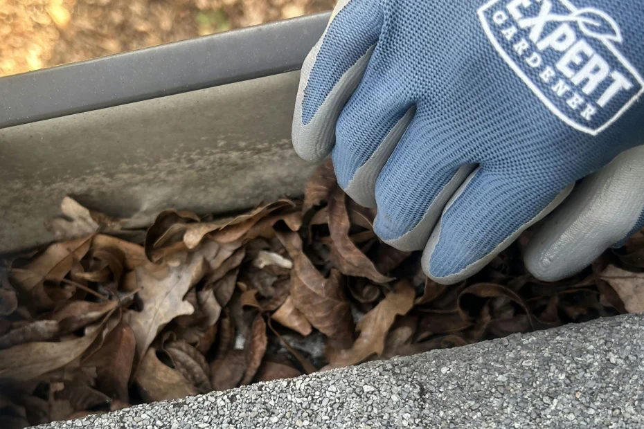 Gutter Cleaning Palm Beach Gardens FL