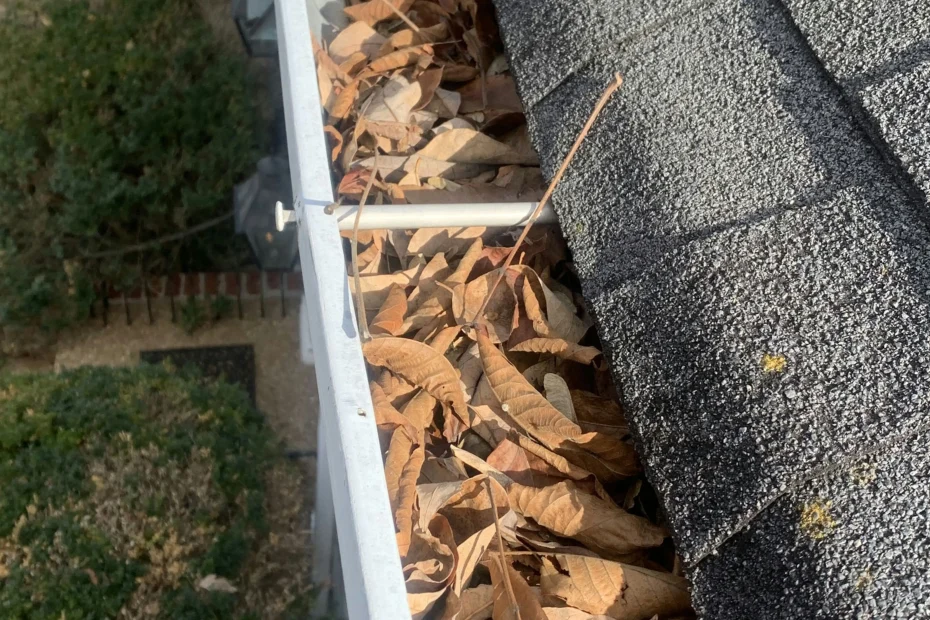 Gutter Cleaning Palm Beach Gardens FL