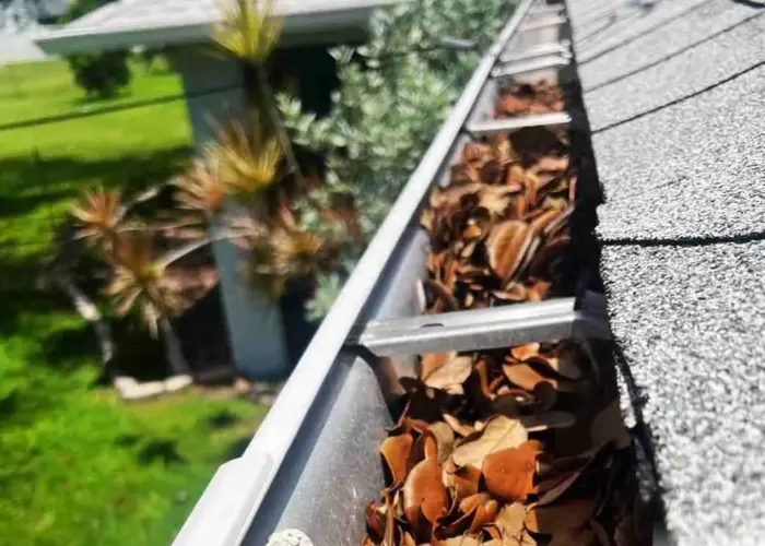 Gutter Cleaning Palm Beach Gardens FL home page